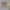 https://res.cloudinary.com/billionhands/image/upload/v1780985315/items/jeicwqe9ftxkecg6dl9w.webp-0cover