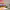 https://res.cloudinary.com/billionhands/image/upload/v1780985524/items/fklnk3wnsqww353yz0mz.webp-1cover