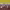 https://res.cloudinary.com/billionhands/image/upload/v1780986100/items/dmy40kfrf0pyqc6z5pbm.jpg-2cover