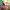 https://res.cloudinary.com/billionhands/image/upload/v1780986295/items/erdvqvs4peqlidsvopg5.webp-1cover