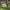 https://res.cloudinary.com/billionhands/image/upload/v1780986419/items/uvu30qdoub2odexpuj6s.jpg-2cover