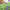 https://res.cloudinary.com/billionhands/image/upload/v1780986448/items/ra1dah3xdz8puvod2j2e.jpg-0cover