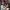 https://res.cloudinary.com/billionhands/image/upload/v1780986936/items/jbbzcngfyuuirz63kuxl.webp-2cover