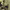 https://res.cloudinary.com/billionhands/image/upload/v1780986937/items/hnrd0mn6mmorcvnalhpy.webp-3cover