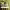 https://res.cloudinary.com/billionhands/image/upload/v1780987232/items/xlpdfeqorcv56dmxsk3h.jpg-3cover