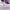 https://res.cloudinary.com/billionhands/image/upload/v1780987235/items/mxywl1ukvcmtstb6q1gl.jpg-2cover