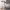 https://res.cloudinary.com/billionhands/image/upload/v1780988150/items/odadgbyj1letyk2axjae.webp-3cover