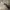 https://res.cloudinary.com/billionhands/image/upload/v1780989980/items/scvu75vewd3eaknh1baf.webp-3cover