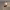 https://res.cloudinary.com/billionhands/image/upload/v1780991090/items/r61lkauibambsofibf9j.webp-0cover