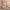 https://res.cloudinary.com/billionhands/image/upload/v1780991736/items/abbtkfwcvvxfed2uwjit.webp-3cover