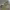 https://res.cloudinary.com/billionhands/image/upload/v1780991897/items/lwok8b3gi0y5zvzhyehp.jpg-0cover