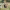 https://res.cloudinary.com/billionhands/image/upload/v1780992993/items/gemvjpnsdxhsbfp6esc7.webp-1cover