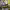 https://res.cloudinary.com/billionhands/image/upload/v1780993311/items/rueqqxhatlhx4wnzkfpm.webp-1cover