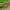 https://res.cloudinary.com/billionhands/image/upload/v1780993680/items/untcpczi7znkvy2aalka.jpg-3cover