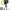 https://res.cloudinary.com/billionhands/image/upload/v1780993863/items/ccepf1ctzb5tjnclkevf.jpg-0cover