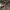 https://res.cloudinary.com/billionhands/image/upload/v1780994309/items/cgqayi5bjiwzqao3tyw9.jpg-3cover