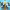 https://res.cloudinary.com/billionhands/image/upload/v1780994950/items/bvqi3hwuyfbdwrdnj9yp.webp-3cover