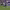 Colo Colo vs Universidad de Chile cover