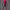 https://res.cloudinary.com/billionhands/image/upload/v1780995519/items/mnnwzsggko5dlvr1rahg.jpg-3cover