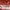 https://res.cloudinary.com/billionhands/image/upload/v1780995797/items/mvuhjk43zqs4imoowode.jpg-3cover