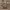 https://res.cloudinary.com/billionhands/image/upload/v1780996753/items/axlbszawjdij8nzmgen9.jpg-1cover