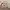 https://res.cloudinary.com/billionhands/image/upload/v1780996757/items/n5tbi5rc4ahmq8d9eb1s.jpg-3cover