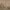 https://res.cloudinary.com/billionhands/image/upload/v1780996763/items/kxhvropppj6zzl1h621l.jpg-2cover