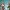 https://res.cloudinary.com/billionhands/image/upload/v1781001185/items/gv2mu5nmhcxgdbo6kybr.jpg-0cover