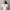https://res.cloudinary.com/billionhands/image/upload/v1781001734/items/ibhwj3tjbb5lp6kyf91d.webp-2cover