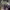 https://res.cloudinary.com/billionhands/image/upload/v1781001739/items/upe0n1glg3zjvtkig7hx.webp-1cover
