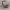 https://res.cloudinary.com/billionhands/image/upload/v1781003383/items/wo8jm48zjbgrcwanp2tc.webp-1cover