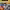 https://res.cloudinary.com/billionhands/image/upload/v1781005135/items/jvdjteeoqtebe70el7y8.jpg-1cover