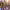https://res.cloudinary.com/billionhands/image/upload/v1781005227/items/ncqdkcj8n85pwzutw8ez.jpg-0cover