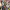 https://res.cloudinary.com/billionhands/image/upload/v1781005392/items/rr0bo9gybjhpsi9tgkyo.jpg-0cover