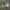 https://res.cloudinary.com/billionhands/image/upload/v1781005713/items/phit1yypfzsney6rot85.webp-0cover
