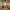 https://res.cloudinary.com/billionhands/image/upload/v1781008171/items/nwmjqtqdghukkdotpxsr.jpg-0cover