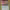 https://res.cloudinary.com/billionhands/image/upload/v1781008744/items/hykroinefcr5scuglxh0.jpg-1cover