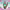https://res.cloudinary.com/billionhands/image/upload/v1781008974/items/t9fzpmnjwzsq4okkyrmy.jpg-2cover