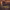 https://res.cloudinary.com/billionhands/image/upload/v1781009061/items/nyxhbldmxdhpz2k9jqgp.jpg-1cover