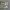 https://res.cloudinary.com/billionhands/image/upload/v1781012463/items/h4wczbcpgb8xuta0hbf9.webp-0cover
