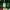 https://res.cloudinary.com/billionhands/image/upload/v1781012821/items/z7bevdu48mcpohxjwm6w.jpg-3cover