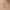 https://res.cloudinary.com/billionhands/image/upload/v1781013539/items/cv7ckwquanosso2wgf4d.webp-1cover
