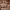https://res.cloudinary.com/billionhands/image/upload/v1781016076/items/tnovqwhaiqvo993qeovv.jpg-0cover