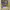 https://res.cloudinary.com/billionhands/image/upload/v1781016082/items/w35aqbs1e8mlq5shksi1.jpg-2cover