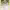 https://res.cloudinary.com/billionhands/image/upload/v1781016510/items/t7ecyleyekvy8csgy4bv.jpg-1cover