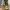 https://res.cloudinary.com/billionhands/image/upload/v1781016935/items/t2omopvwwqknkwc0ynfc.jpg-2cover