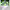https://res.cloudinary.com/billionhands/image/upload/v1781018740/items/wa5ru0y18euzritfdreo.webp-1cover