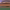 https://res.cloudinary.com/billionhands/image/upload/v1781021040/items/tcl92valnbjvtkbjjw20.png-3cover