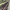 https://res.cloudinary.com/billionhands/image/upload/v1781022622/items/fibs6qzywdsdkm79wyby.jpg-1cover