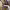 https://res.cloudinary.com/billionhands/image/upload/v1781022786/items/hyb1g9i8n7qrsrkkriej.jpg-2cover